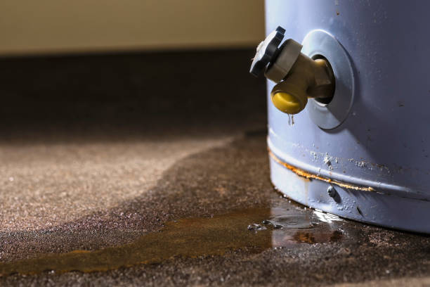 Best Flood restoration services  in Jacksonville, AL