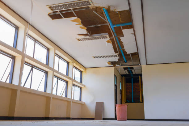 Best Ceiling water damage repair  in Jacksonville, AL