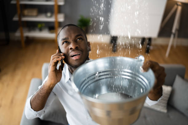 Best Professional water damage repair  in Jacksonville, AL
