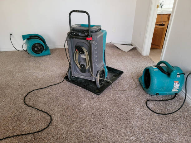 Best Basement water damage restoration  in Jacksonville, AL