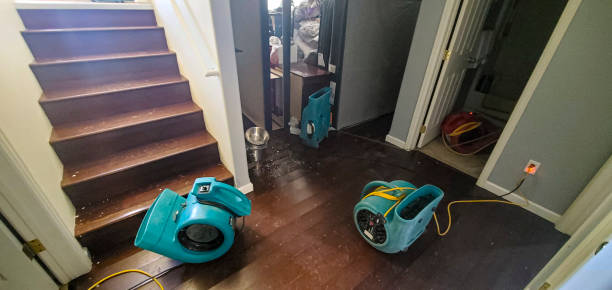 24/7 water damage repair in AL