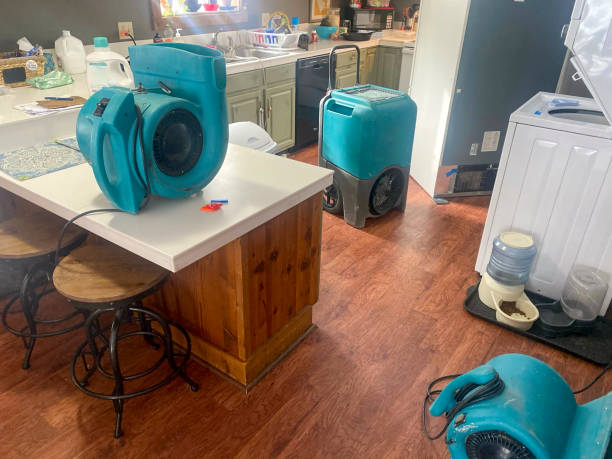 Best Sewage cleanup and water damage restoration  in Jacksonville, AL