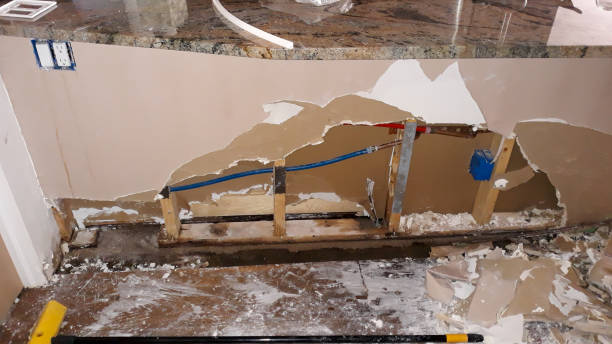 Best Fire Damage Restoration  in Jacksonville, AL