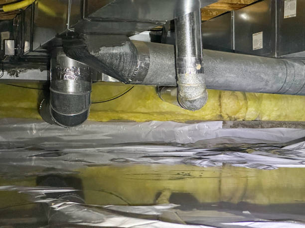 Carpet water damage restoration in AL