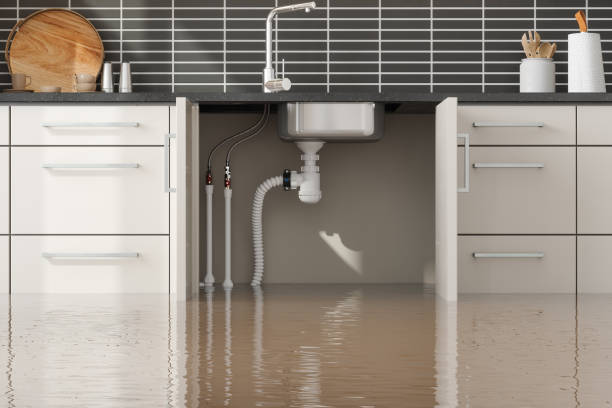 Best Commercial water damage restoration  in Jacksonville, AL