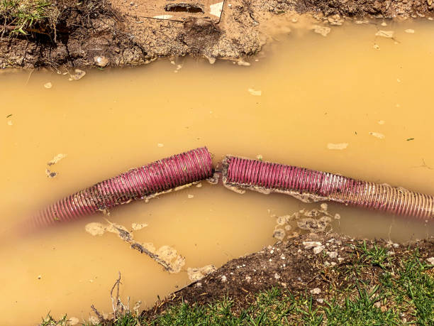 Reliable AL Water damage restoration Solutions
