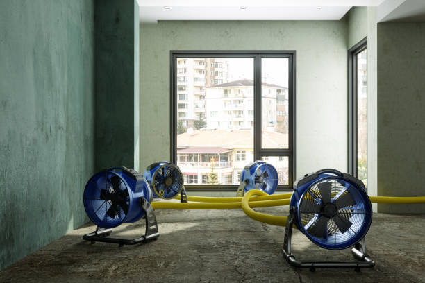 Best Water damage cleanup near me  in Jacksonville, AL